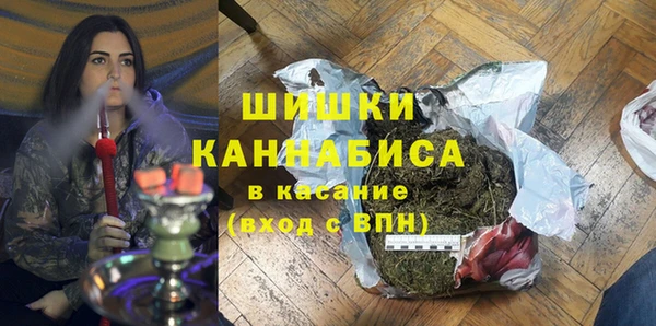 шишки Нея