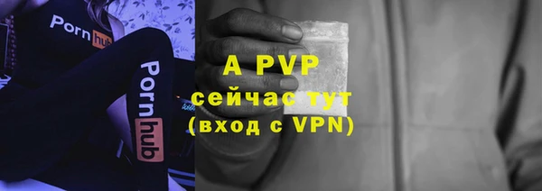 шишки Нея