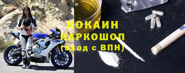 шишки Нея