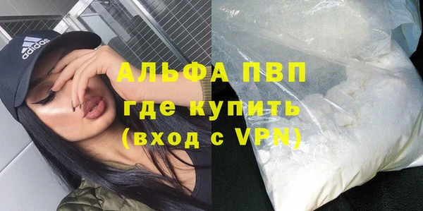 шишки Нея