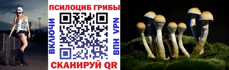 закладки  Долгопрудный  Галлюциногенные грибы GOLDEN TEACHER 