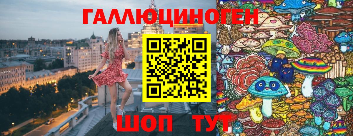 Псилоцибиновые грибы Psilocybe Долгопрудный