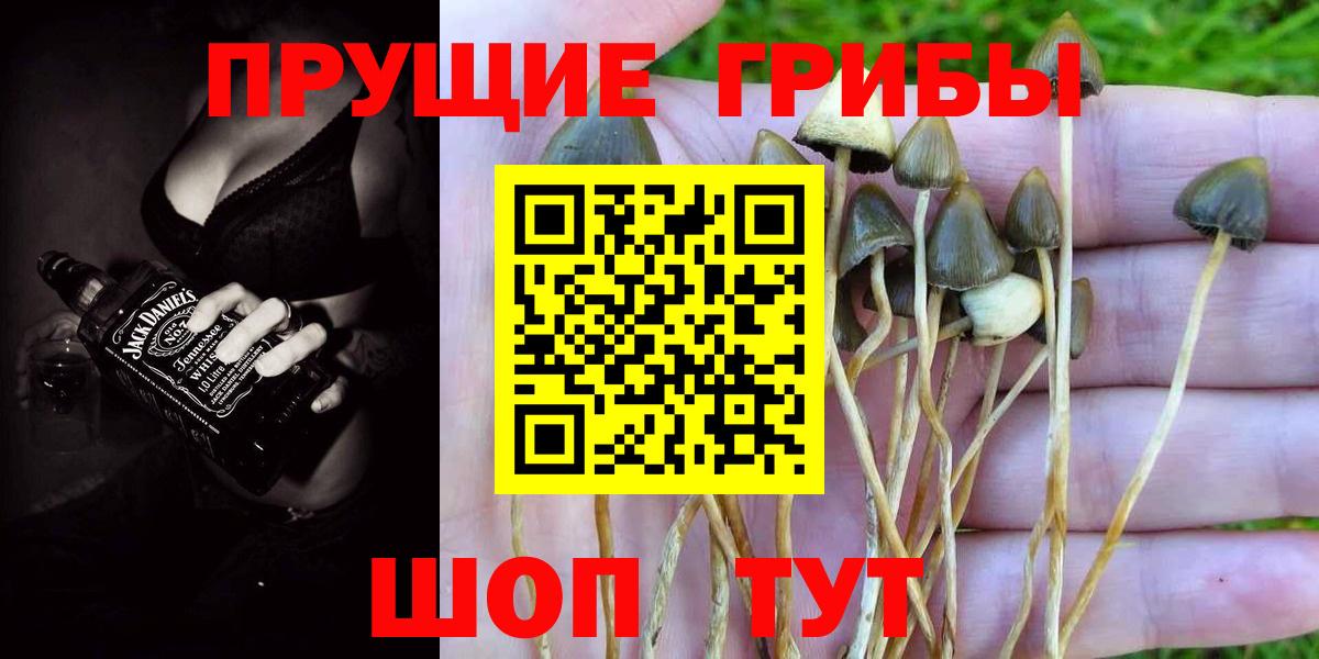 Псилоцибиновые грибы Magic Shrooms Долгопрудный