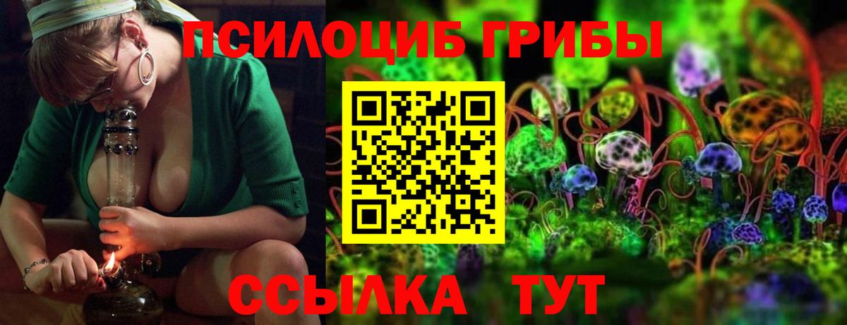 Псилоцибиновые грибы мухоморы  купить наркоту  Долгопрудный  Вход с VPN 